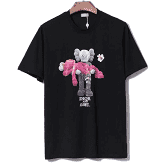 Kaws Black'pink'